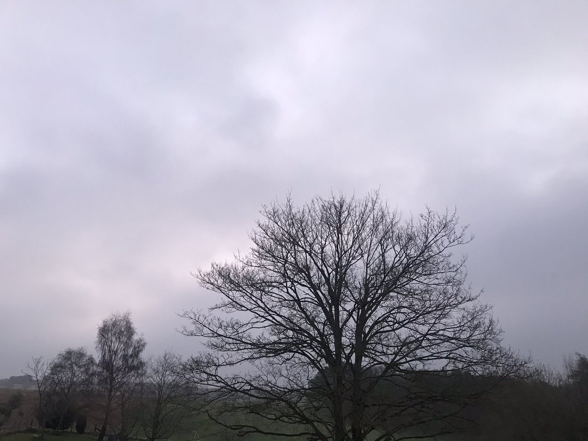 HayMaxbalm's tweet photo. Happy Wednesgrey!   . #Hayfever #Allergy #haymax #allergies #allergens #petallergies #dustallergies #hayfever #organic #drugfree #allergenbarrierbalms #haymaxbalm #sunrise https://t.co/QyTbsgbLLf