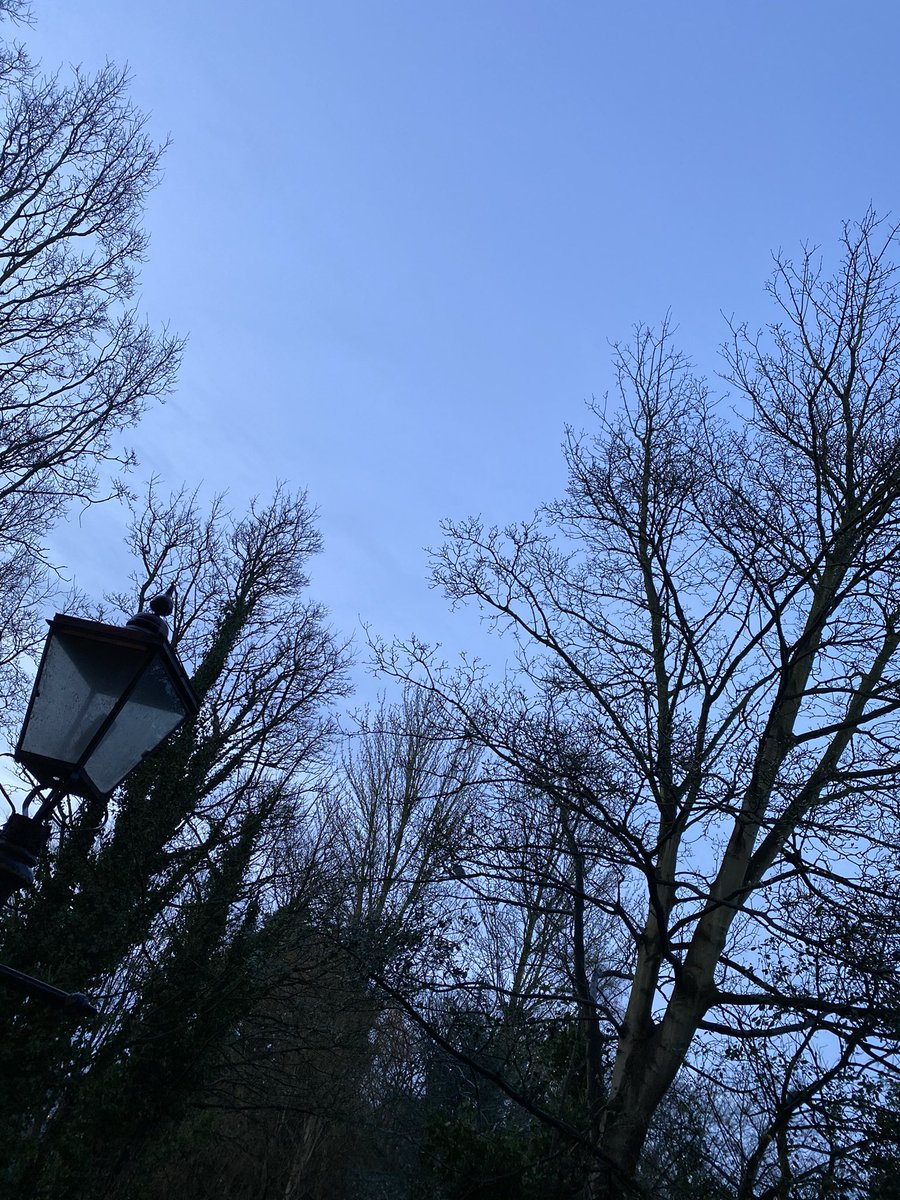 ribbletonia's tweet photo. MORNING! Giving some thanks for simple things #early #calm #peace #sleepingteen #everyoneisok #home #sanctuary #spring but more than that, I’m trying to make physical indoor #space for work AWAY from what we need for a good & steady life #workisnotlife any ideas? #skipselfcare https://t.co/AfftHvC31T