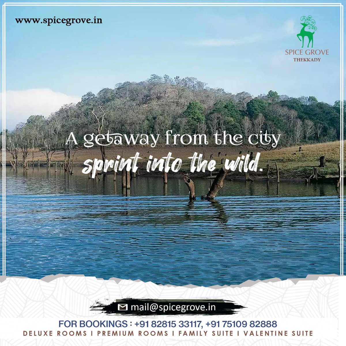 IamSpicegrove's tweet photo. Its the getaway time. Get relaxed &amp; chill out for holidays!!!
Explore #Thekkady &amp; Stay Spice Grove Hotels &amp; Resorts.
+91 8281533117 / +91 7510982888
https://t.co/WvExXskSvU
#memoriesatspicegrove #myspicegrovemoment #experiencekerala #explorekerala #visitkerala #thekkady #idukki https://t.co/gACxXBHKtZ