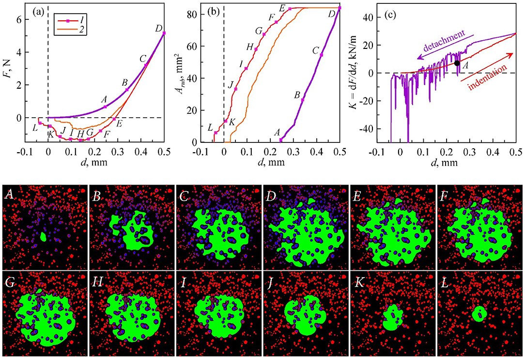 Friction_Berlin's tweet image. Influence of chemical heterogeneity and third body particles on adhesive strength is studied experimentally and numerically. frontiersin.org/articles/10.33…