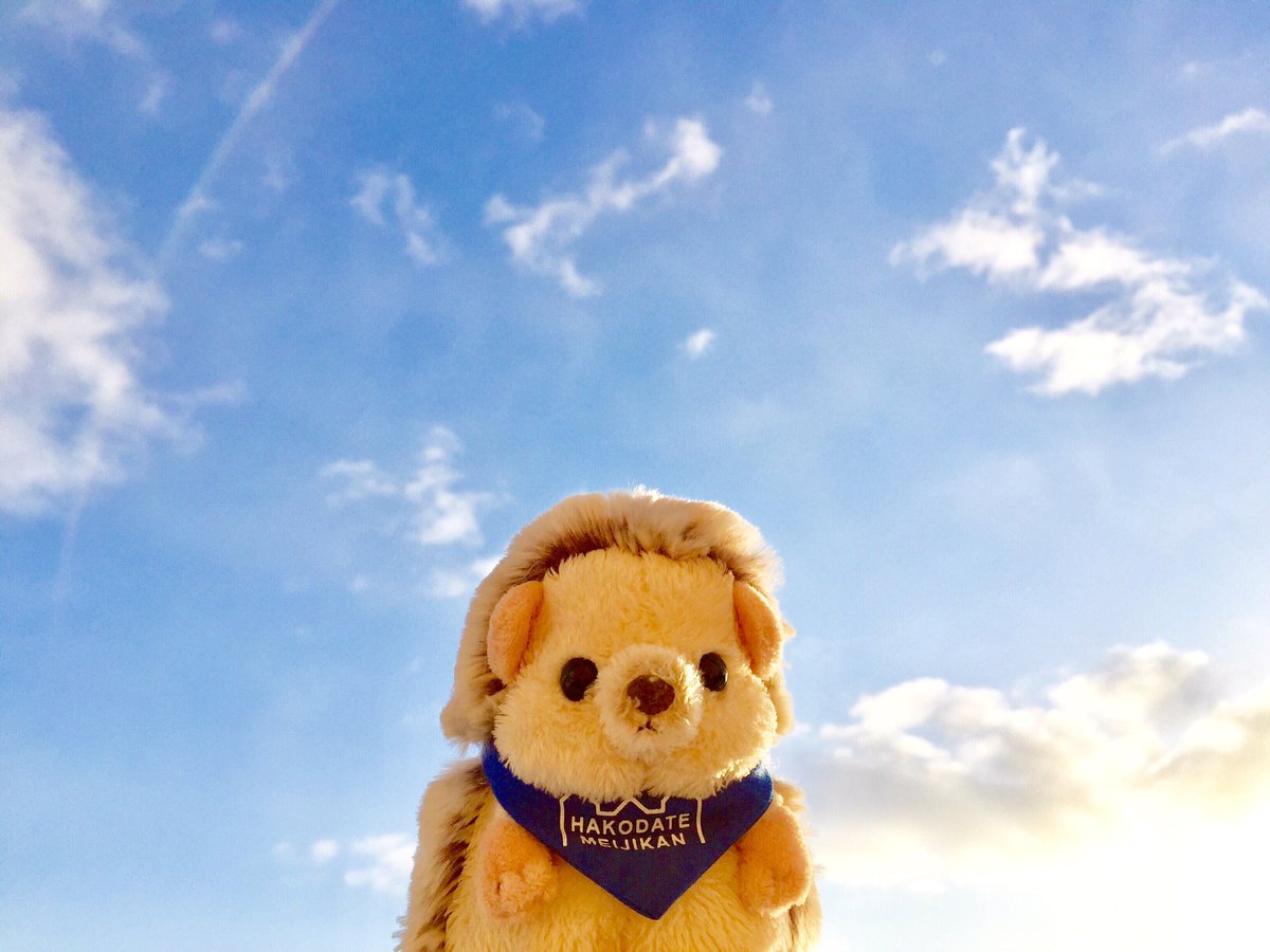 はこだて明治館限定ハリちゃん Hashtag Posts And Instagram Pictures And Videos Offerdos Com