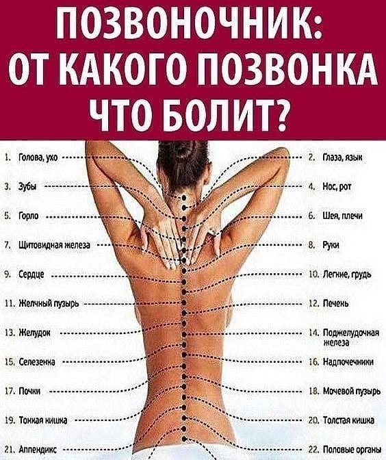 best_fact tweet picture