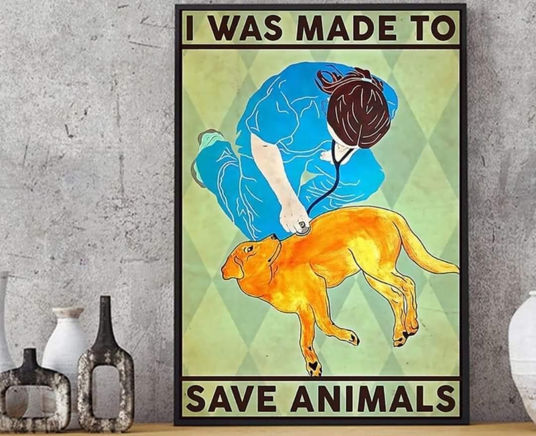 Rights Of Animal In India (@ofindja) on Twitter photo 