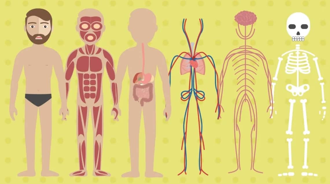 12та ғаройиб факт: инсон организмини ўрганамиз
Кирилча 👉lifehaq.uz/12ta-arojib-fa…

12ta g’aroyib fakt: inson organizmini o’rganamiz
Lotincha👉lifehaq.uz/uz-latin/12ta-…

#LifeHaq #Lifehack #Lifehak
<a href="/lifehaquz/">LifeHaq.uz</a>