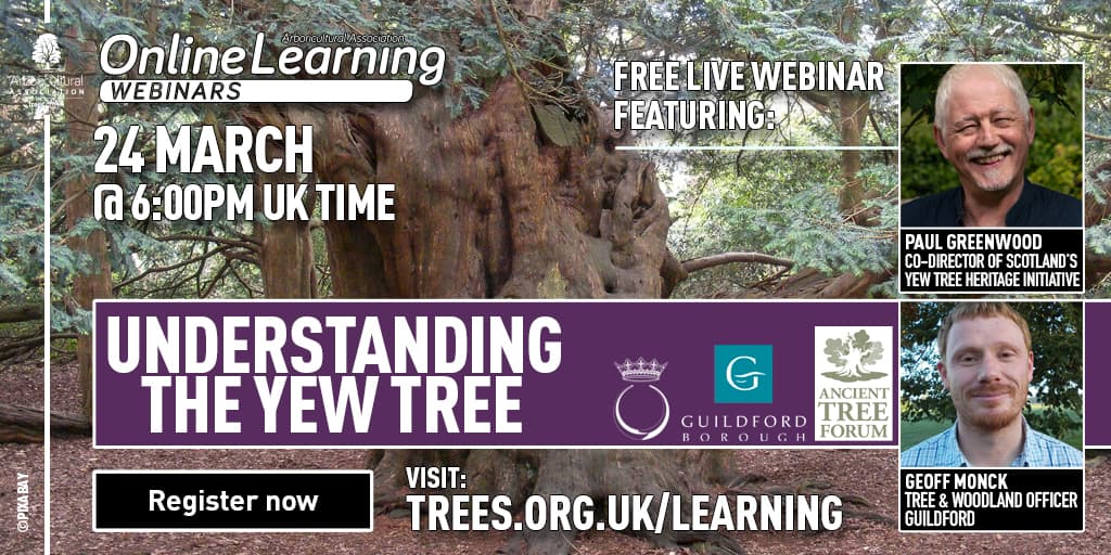 JP (@johntree1981) on Twitter photo Another brilliant evening ahead from the <a href="/ArbAssociation/">Arboricultural Association</a> as we seek to understand one of my favourite #tree species - the yew. We will be joined by Geoff Monck and Paul Greenwood for this free webinar. Hope to see you there #TreeTwitter, register here:
trees.org.uk/Training-Event… Another brilliant evening ahead from the <a href="/ArbAssociation/">Arboricultural Association</a> as we seek to understand one of my favourite #tree species - the yew. We will be joined by Geoff Monck and Paul Greenwood for this free webinar. Hope to see you there #TreeTwitter, register here:
trees.org.uk/Training-Event…