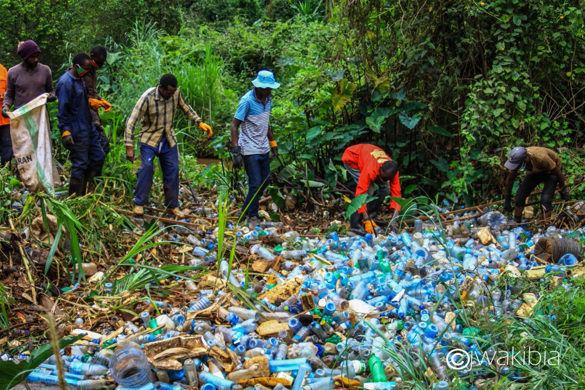 JamesWakibia's tweet photo. Plastic pollution continues to ravage our environment bigly. It calls on us all to come together and speak up against this problem. I am delighted to join environmental advocates &amp; experts brought together by 
@CEJADKenya to discuss ways to effectively fight plastic pollution. https://t.co/GTowzzgR76