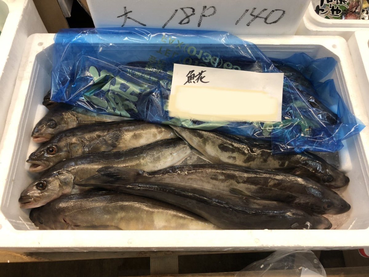 水産 青汁のウオス 進風 Inc 公式 これなーんだ 魚へんに花と書いて ホッケ と読むのです ホッケといえば よく開きの干物で販売されてることが多いけど 北海道では時期によって 生ホッケ も 手に入るのです 生ホッケは