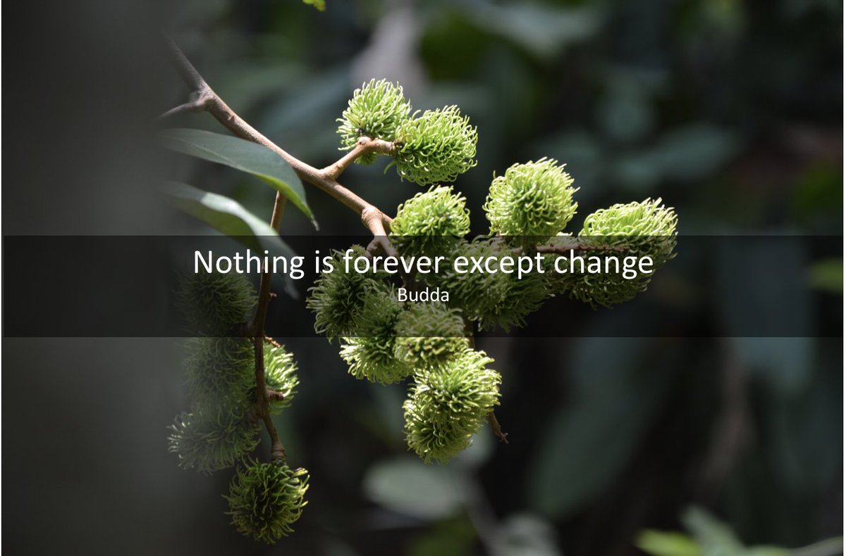 Minerva Engagement (@minervaengage) on Twitter photo 