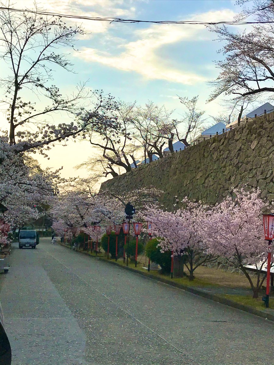 つやま自然のふしぎ館 さくらまつりの屋台の準備が着々と進んでおります ふしぎ館の前には 毎年栗まんじゅう屋さんが来ます 美味しいです あんこと栗餡があります 私は栗餡派です 津山さくらまつり 鶴山公園