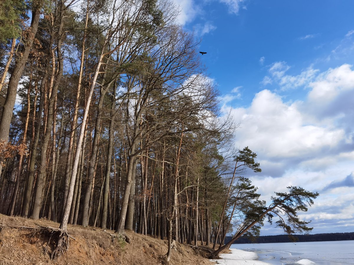 SheepCharm's tweet photo. Kaunas Reservoir is the largest Lithuanian artificial lake, created in 1959 by damming the Nemunas River, 🌅
#nature #photography #lake #Kaunas #reservoir #trees https://t.co/07oycz3DT0