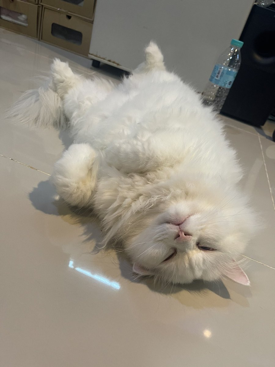 mamajaemin's tweet photo. พบก้อนน่าสงสัย https://t.co/c0TRHcnc6p