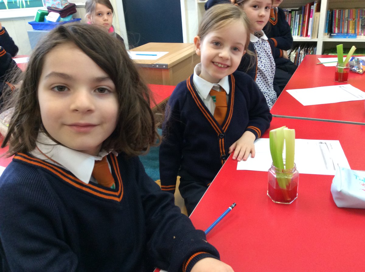NorfolkHouseSch's tweet photo. Form 3 enjoyed conducting an experiment to learn how water is transported through plants. We set up the experiment, made a prediction and we have been recording our observations over a couple of days to see what has changed. #NHcollaborate #NHsucceed https://t.co/KF1NUvtC6l