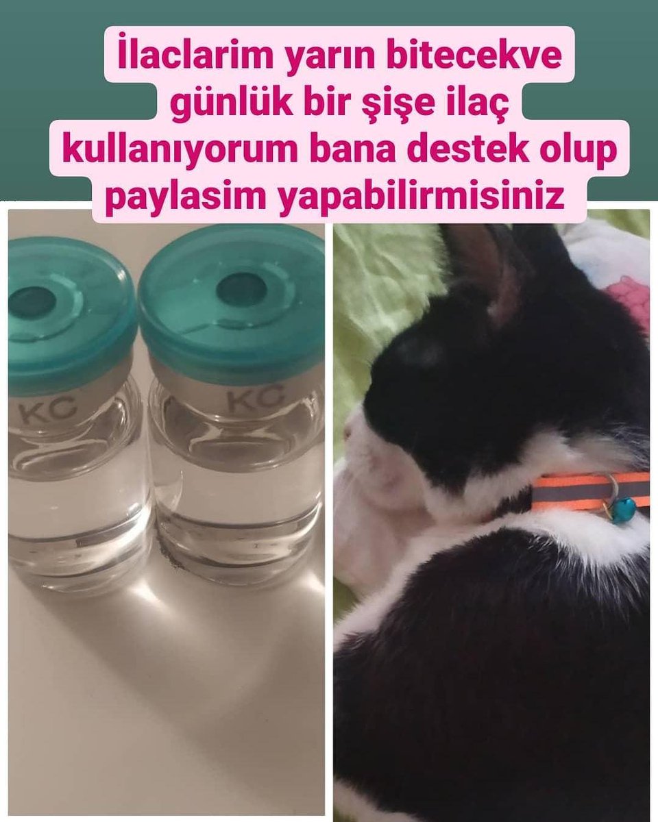 Pudinge destek olmak istermisiniz azda olsa
#hayvansever #hayvanlarikoruyalim <a href="/officialalihan/">Alihan Zülfikaroğlu</a> <a href="/veganzulal/">Zülâl Kalkandelen Ⓥ 🐑</a> <a href="/suzirellaa/">Sude</a> @eda123456795567