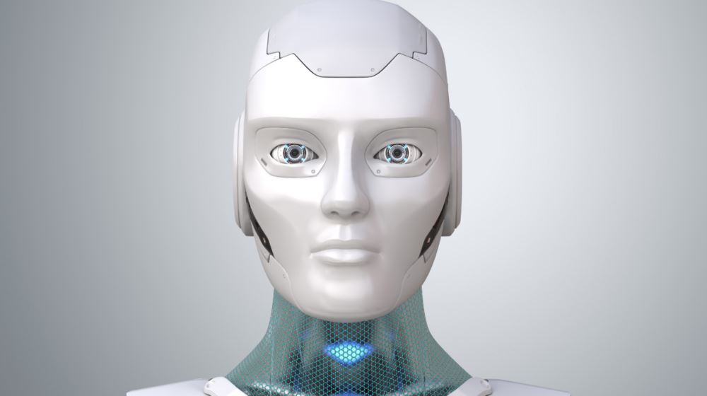 Rowan Hordijk tweet media