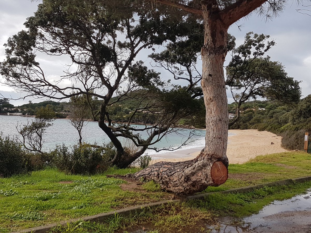 RosTweets's tweet photo. @CharlesFinidori @CorsuHe A tinacitร di a Natura. #Isuledda https://t.co/cCdf354BzW