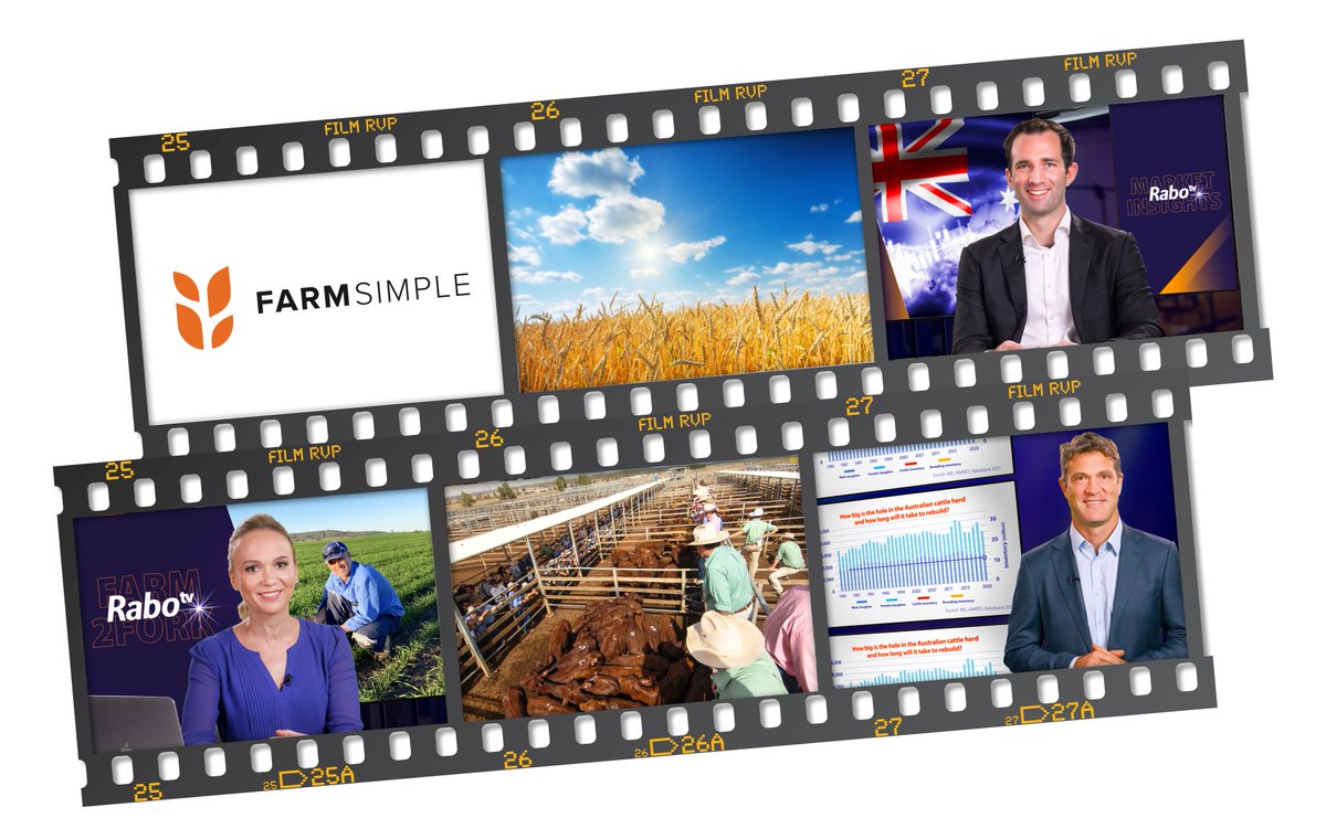 This week on #RaboTV we chat to Lee &amp; Cassie from <a href="/CroppaCo/">FarmSimple by CroppaCo</a> about how they are digitising farmers’ front pocket notebooks for better efficiency. We also look at record cattle prices, &amp; share positive news on Australian employment figures. Watch here: rabobank.com.au/rabotv/article…