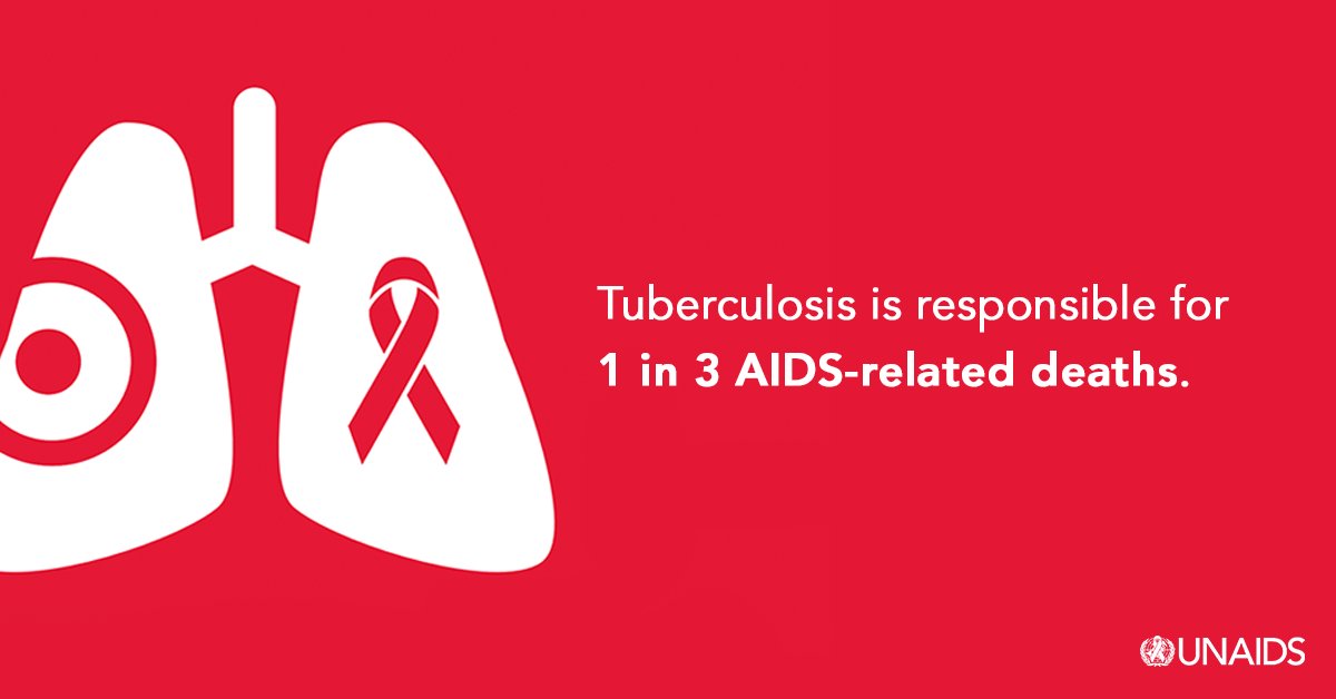 Tuberculosis is curable and preventable. 

Yet, there were 208 000 TB-related AIDS deaths in 2019. 

This #WorldTBDay, UNAIDS calls on all countries to step up action and ensure that all people affected by HIV and TB have access to the prevention and treatment services they need.