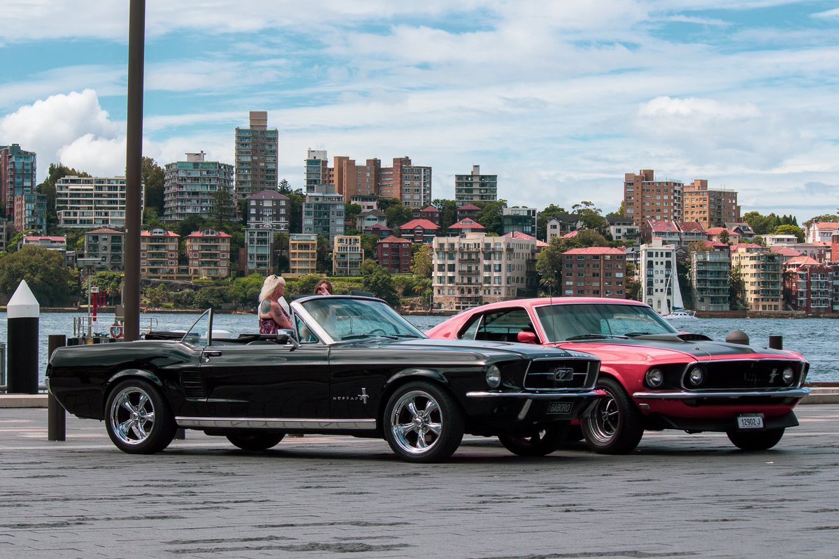 Daniel Tang tweet media