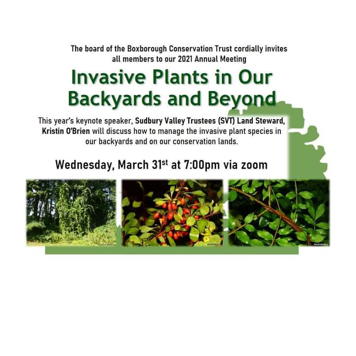 Boxborough Conservation Trust tweet media