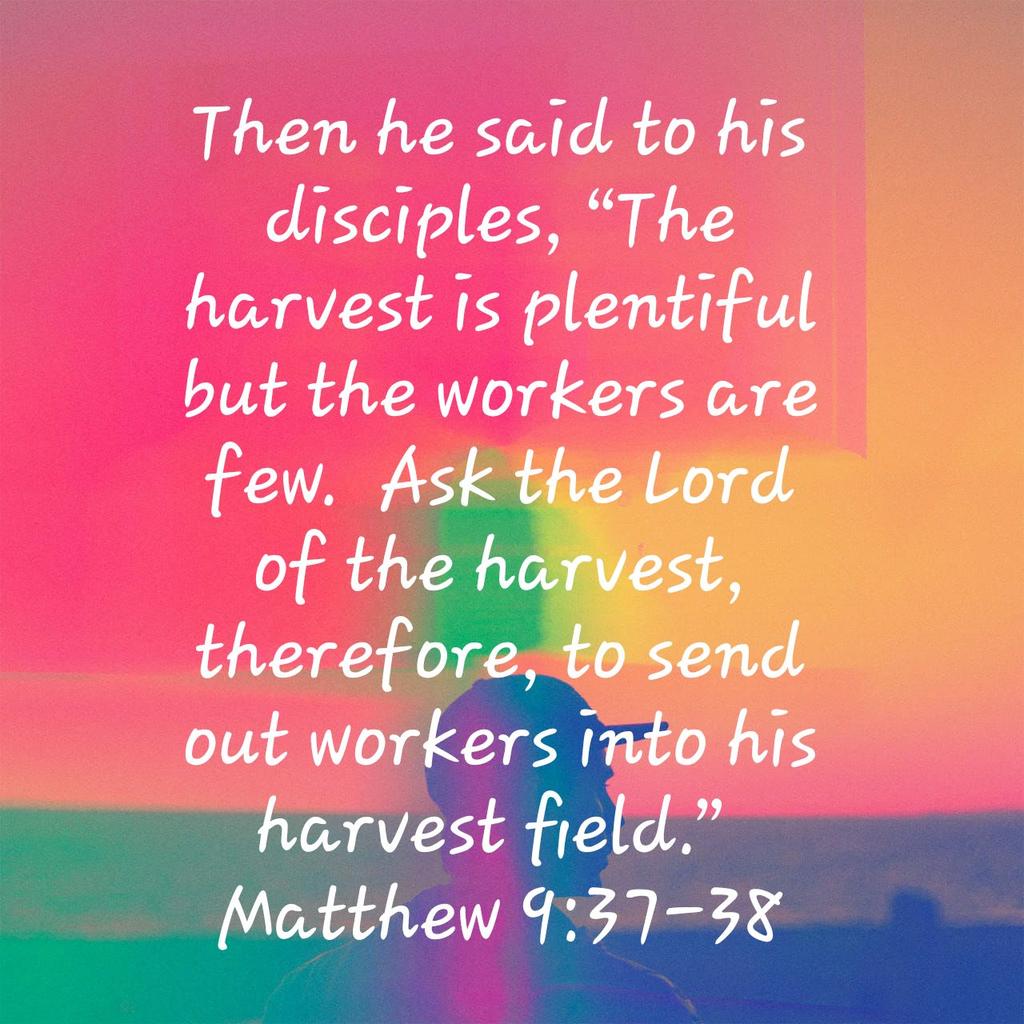 abondzinski1's tweet photo. Then he said to his disciples, “The harvest is plentiful but the workers are few.…
https://t.co/1Orxobiwxg https://t.co/xEbvaoGv1S