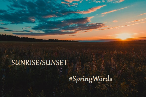 bionicanadian's tweet photo. #SpringWords 

Sunset me
under twilight fields

kissing one last time,
before the day sinks
to her tinged sky

piano music me into
... sentimental stirrings https://t.co/K2u3Mw39IH