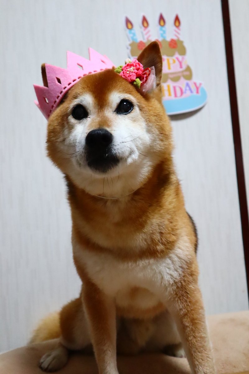 ナナ ポポ ライフボート出身 Nanapoponapori1 Twitter ナナ ポポ ライフボート出身 Nanapoponapori1 Twitter
