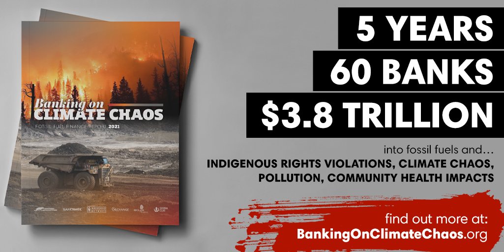 Indigenous Climate Action tweet media