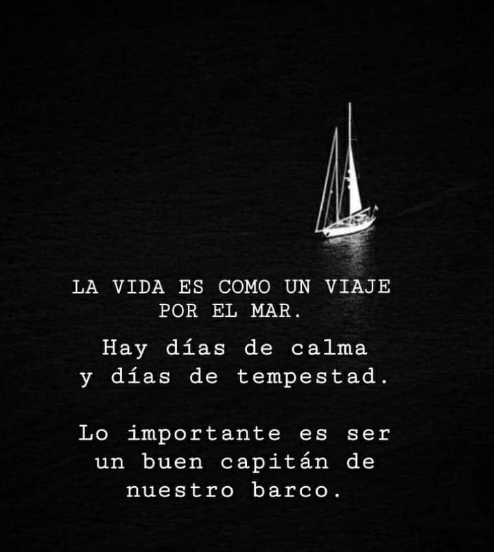 alid2703's tweet photo. ⛴️ https://t.co/DAM7VT2a8K