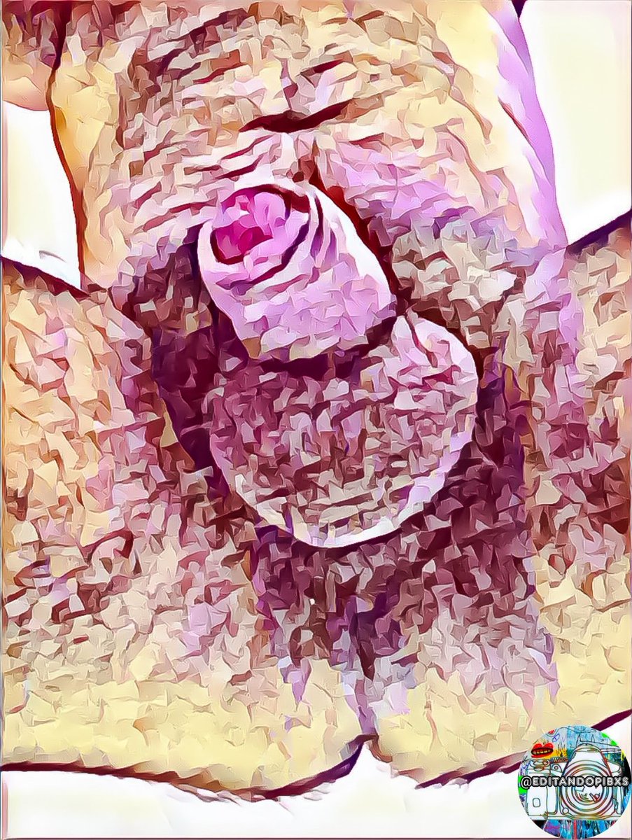 EditandoPibxs's tweet photo. Aca tenemos el feriado con un hermoso aporte de @Lamedorde 
🤤😏👌
LIKE❤❤&amp;RT🔁🔁🔁 https://t.co/bBL3U50DdM