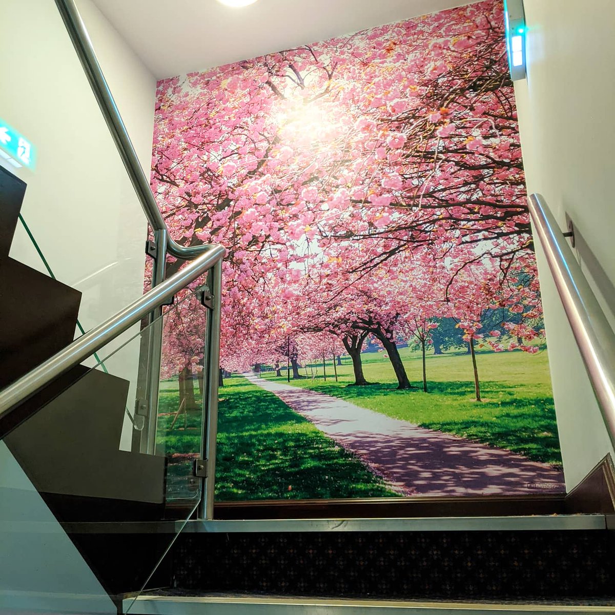 SignHubHgate's tweet photo. Make the most of your wall space!
Photo taken by @stephsimmonsphotos
#wallgraphics #graphics #wallvinyl #stairways #harrogate #blossom #thestray #photography #cedarcourthotel #cedarcourt #yorkshire #signage #signs #interior #signhub #signhubharrogate https://t.co/mdRpF9zG7W