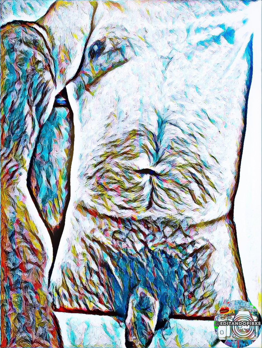 EditandoPibxs's tweet photo. Aca tenemos el feriado con un hermoso aporte de @Lamedorde 
🤤😏👌
LIKE❤❤&amp;RT🔁🔁🔁 https://t.co/bBL3U50DdM