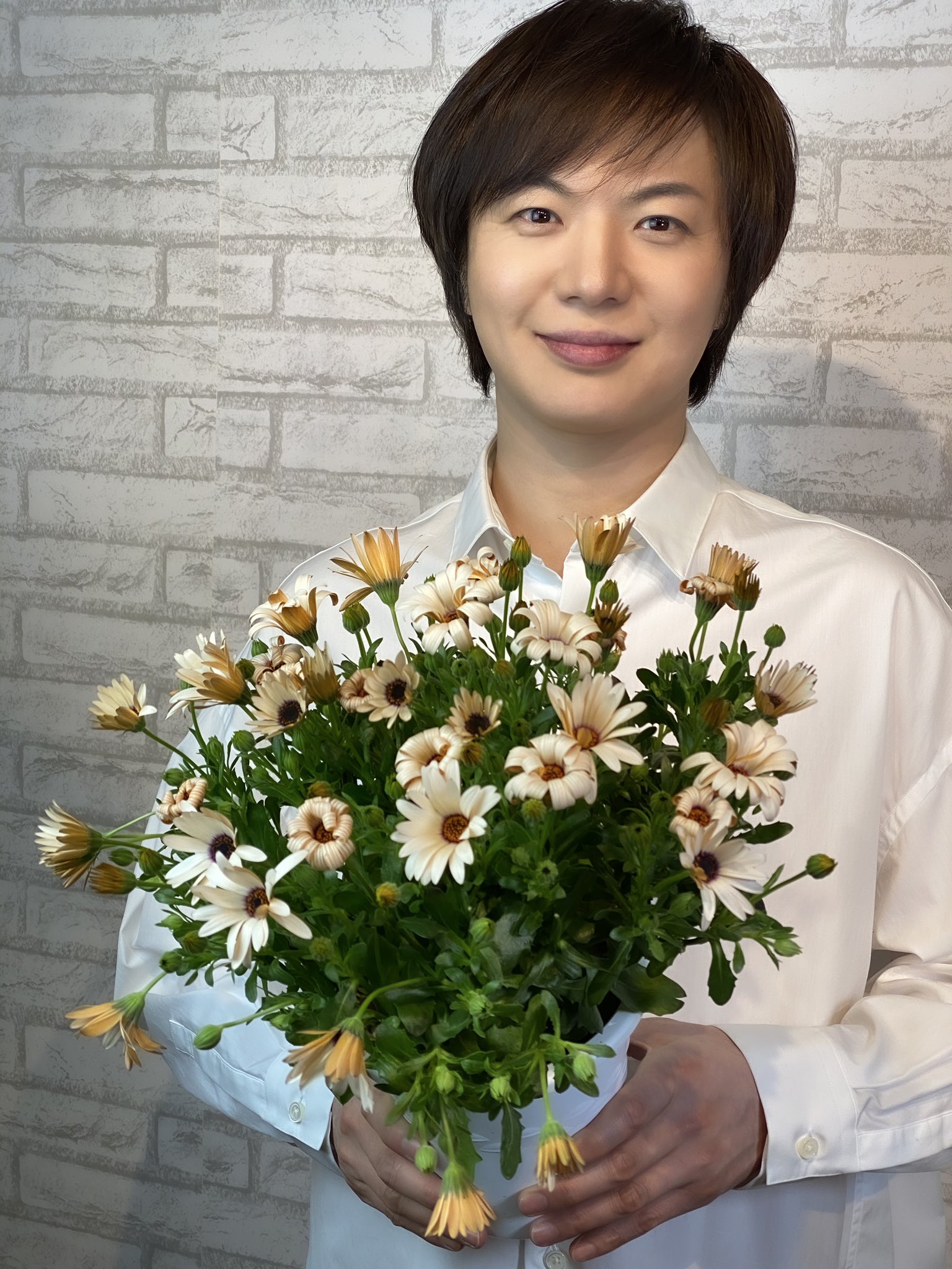 竹島宏スタッフ 公式 オステオスペルマム ほのかなベージュ色が美 しいオステオスペルマム を見つけました 花言葉は 変わらぬ愛 心も体も健康 今日も１日お疲れ様でした ひろネット 花便り 花言葉 花 花を贈ろう 花のある暮らし 花