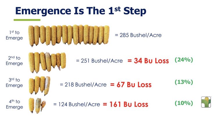 shanebrockhoff's tweet photo. 12hr emergence cks...moral of story- plant into warming trend and set/ck planter frequently!!  Stand establishment often THE limiting factor in your field. 300bu corn starts with 300bu stand https://t.co/4NisuqdYPB