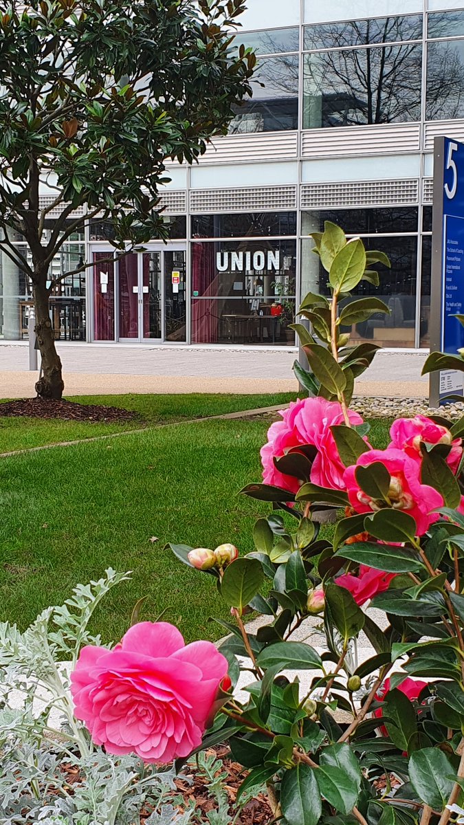 Union Bar tweet media