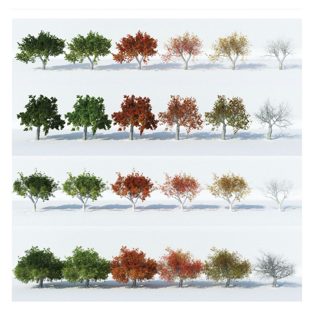 stefan_laub's tweet photo. Q-PlaneTrees BUNDLE is the library of 432 detailed custom hand made 3d plane tree models in native .c4d format - https://t.co/w1fkb6pYOl
#maxonc4d #corona #vray #c4d #redshift #octane #rendering #pbr #3dsmax #blender #archviz #3dtools #qucumber #archaic #laublab #renderfun https://t.co/qBSVDSo98C