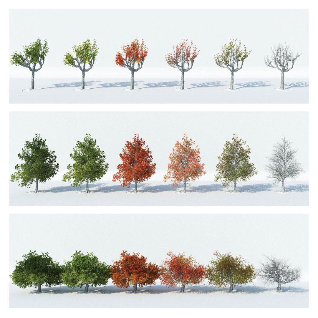 stefan_laub's tweet photo. Q-PlaneTrees BUNDLE is the library of 432 detailed custom hand made 3d plane tree models in native .c4d format - https://t.co/w1fkb6pYOl
#maxonc4d #corona #vray #c4d #redshift #octane #rendering #pbr #3dsmax #blender #archviz #3dtools #qucumber #archaic #laublab #renderfun https://t.co/qBSVDSo98C