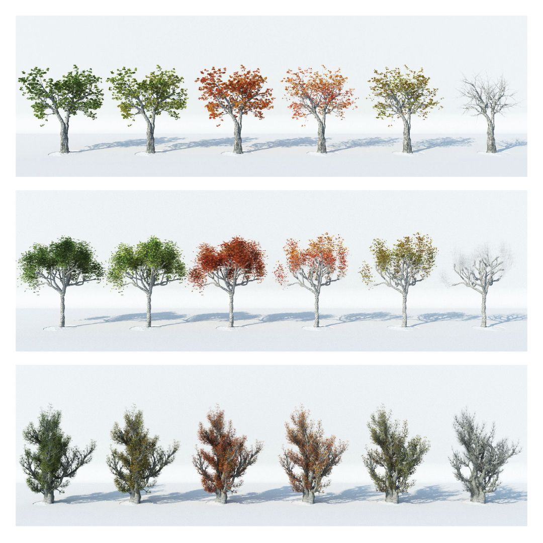 stefan_laub's tweet photo. Q-PlaneTrees BUNDLE is the library of 432 detailed custom hand made 3d plane tree models in native .c4d format - https://t.co/w1fkb6pYOl
#maxonc4d #corona #vray #c4d #redshift #octane #rendering #pbr #3dsmax #blender #archviz #3dtools #qucumber #archaic #laublab #renderfun https://t.co/qBSVDSo98C