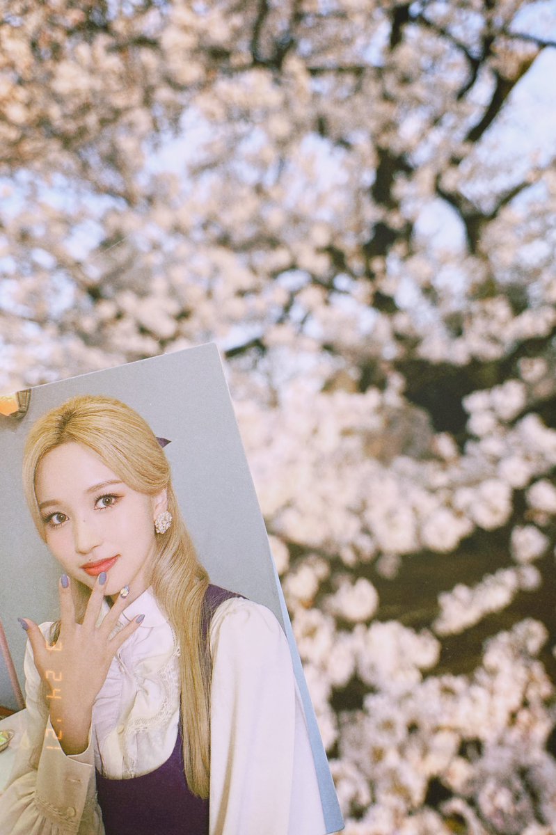 TheFirstStar__'s tweet photo. みなちゃんとお花見🌸💕

#HappyMinaDay https://t.co/PRERed6606