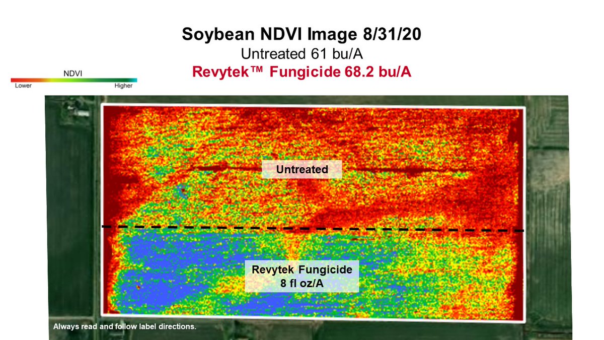 LiberatorAgNC's tweet photo. Nothing on your farm happens by accident. It happens because you create it. Create the difference with #BASFPlantHealth in Jefferson County, AR #RevXFields https://t.co/A8FPeoD1kl