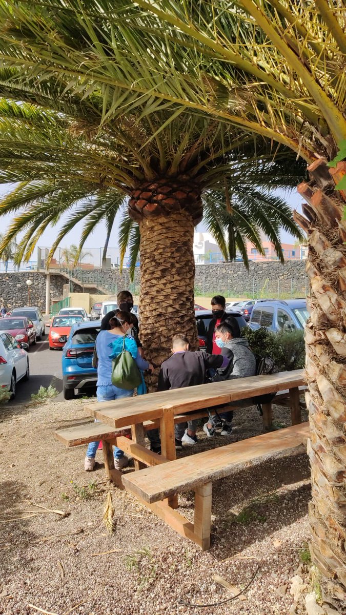 ieselsobradillo's tweet photo. Con la llegada de la primavera, el alumnado de 4ºESO quedó atrapado en la jardín canario. Para volver a entrar en el instituto, tuvieron que pensar en inglés para resolver las actividades y acertijo #AICLE_CLIL #Escapegarden https://t.co/4zbkqIHELG