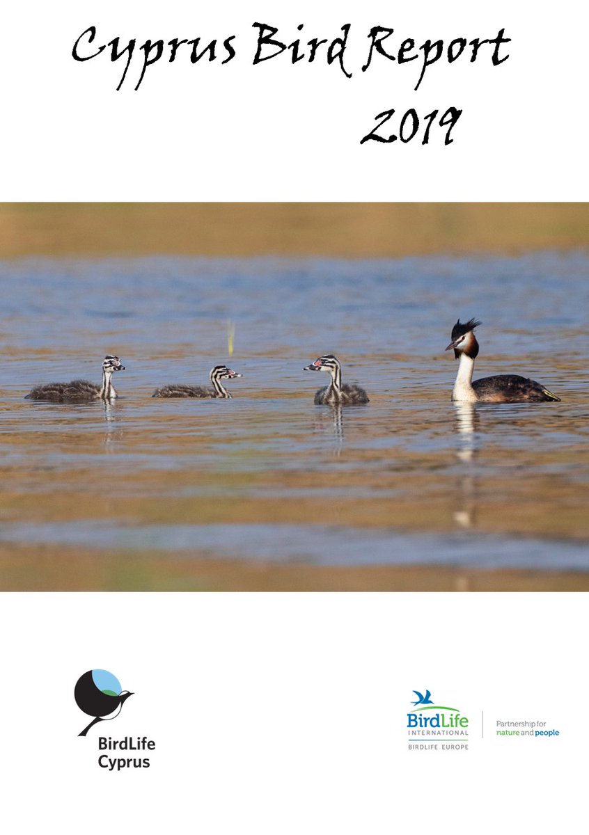 Cyprus Bird Report 2019
This is now ready and available from the BirdLife Cyprus office. Anyone wishing to purchase a copy should contact: BirdLife Cyprus office 
P.O. Box 12026 Nicosia 2340 Cyprus
Tel 22455072. birdlifecyprus@birdlifecyprus.org.cy