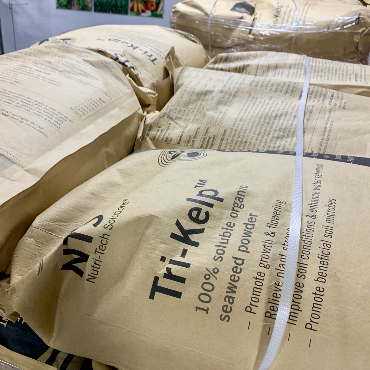 turfsol's tweet photo. Spring is here and we're busy at work! Your orders are being prepared for shipping! Reach out to us if you need anything at all - View some of our popular products here:

https://t.co/UgESUzeMxs ⛳️

#TurfgrassSolutions #TurfgrassFertilizer #TriKelp #KelpFertilizer #TurfFertilizer https://t.co/HgXAOXlvN9