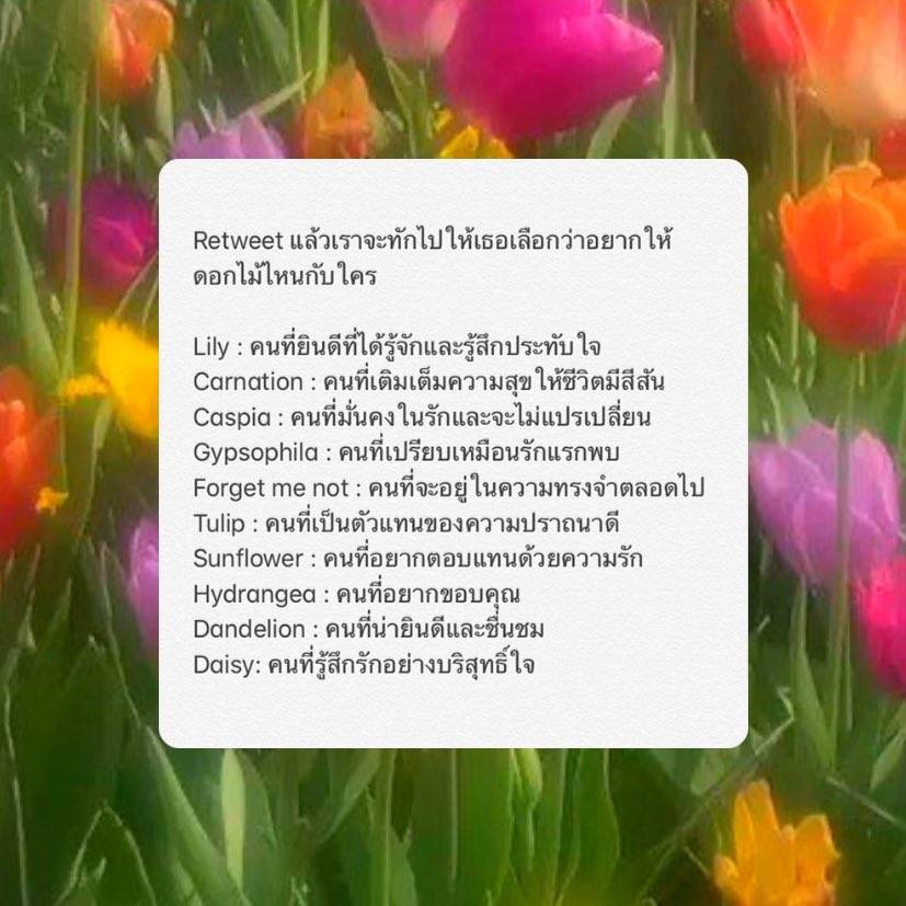 ขอหลอกทักเดมหน่อยค่ะ❕🐰