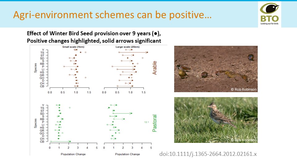 11/ #UEACEEC21 #Sesh5 For farmland birds we can test predictions. We know winter survival is important, can we improve population trend by providing food through agri-env schemes? Broadly yes – but strength of effect varies by species, landscape and scale besjournals.onlinelibrary.wiley.com/doi/full/10.11…