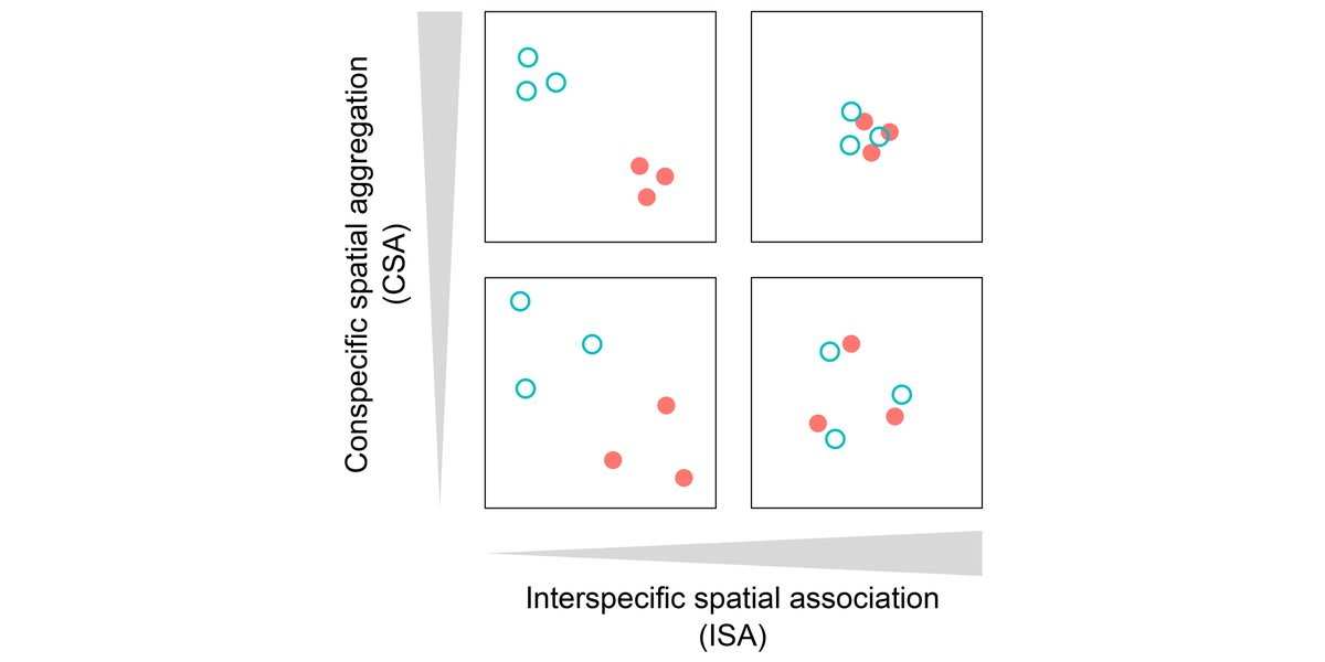 ESAMonographs's tweet photo. Now online in @ESAMonographs with #OpenData in @ZENODO_ORG:

Measurement and analysis of interspecific spatial associations as a facet of biodiversity

#Cooccurrence #SpatialScale #Biodiversity

https://t.co/QCUHp9Pcrh https://t.co/IEBPpdc2jj