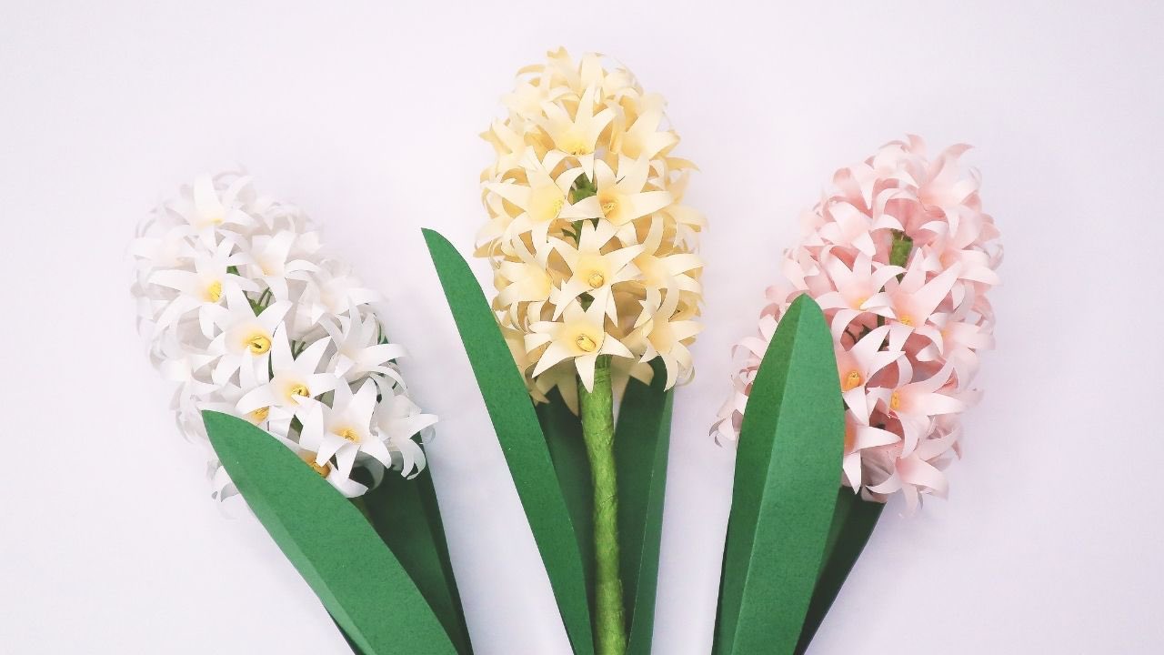 Ayawang 紙で作るヒヤシンスの花 作り方動画 T Co Umvu6mgndb Ayawangpaper ヒヤシンス ペーパーフラワー ペーパークラフト Youtubevideo Youtuber Paperflower Papercraft Hyacinth T Co 1ibqzmpiny Twitter