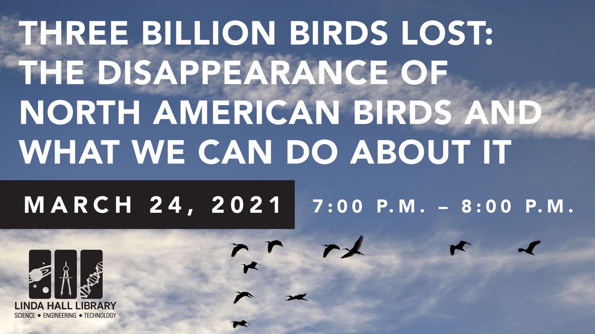 LindaHall_org's tweet photo. Join us for our discussion, “Three Billion Birds Lost: The Disappearance of North American Birds and What We Can Do About It,” as we explore the changes in the continent’s birdlife &amp; actions that we can take to protect birds &amp; their habitats. Sign up now! https://t.co/BwxwljTB2y https://t.co/6vA5TuSLM7