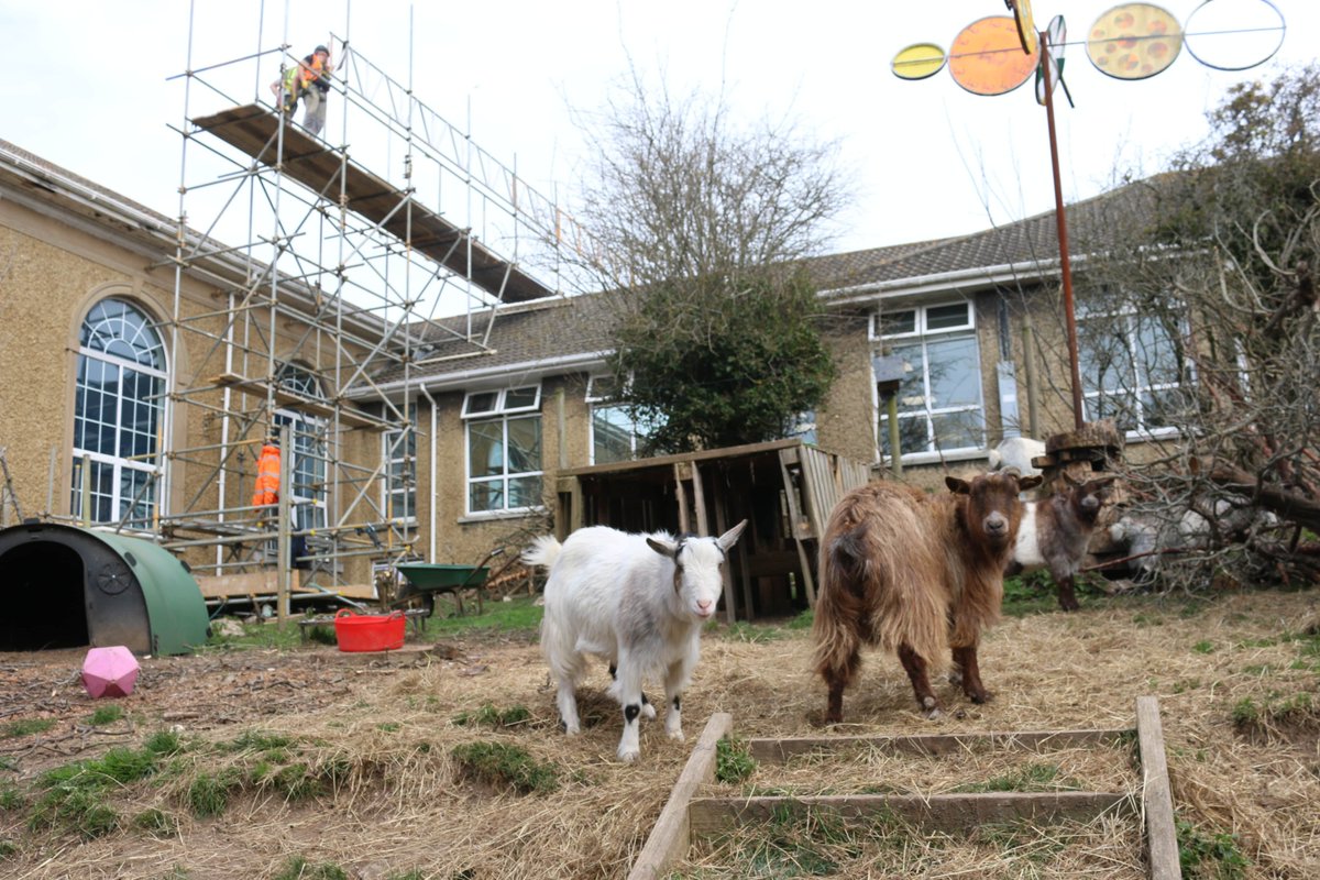 Varndean Goats tweet media