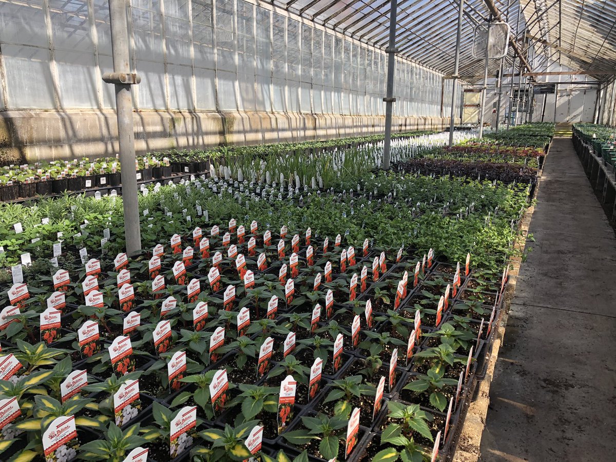 We are getting ready for May! We are so happy to be able to open this year! Can’t wait to see all of you soon!! 🌸🌻🪴