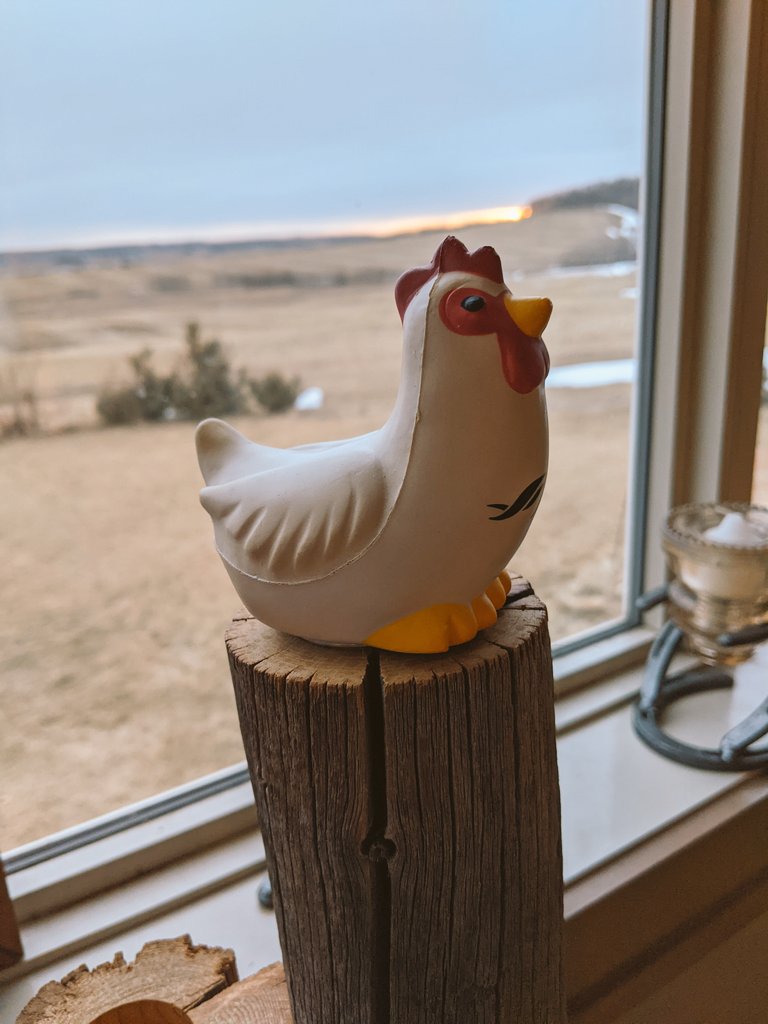 DianneFinstad's tweet photo. The sun is coming up on Day 2 of the @westernpoultry conference! Looking forward to another great speaker lineup and student presentation videos. See you there! @brynnes @Convention_ALL https://t.co/lp7nvJuB06